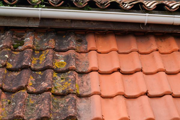 Industrial Roof Cleaning in Gallatin
